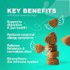 180 Probiotic Chews for Dogs Skin & Coat Support Probiotic Chews for Dogs with Digestive Enzymes for Seasonal Allergies