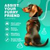 Coprophagia Deterrent No Poo Chews for Dogs Dog Probiotics for Digestive Health with Enzymes Canine Stool Eating Deterrent Digestive Dental Gut Immune
