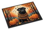 Doormat Front Door Mat Indoor Outdoor Rugs for Entryway, Non Slip Washable Low Pile, 24H X 36W