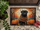 Doormat Front Door Mat Indoor Outdoor Rugs for Entryway, Non Slip Washable Low Pile, 24H X 36W