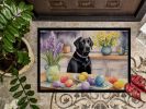 Doormat Front Door Mat Indoor Outdoor Rugs for Entryway, Non Slip Washable Low Pile, 18H X 27W