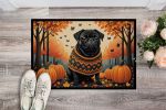 Doormat Front Door Mat Indoor Outdoor Rugs for Entryway, Non Slip Washable Low Pile, 24H X 36W